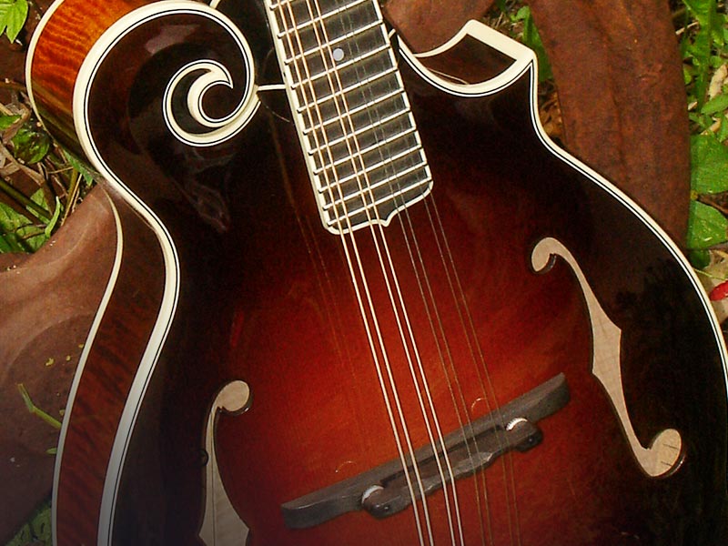 Pava Mandolins : Models